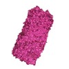 PINK UP, Glitter para ojos, Glitter Compacto, Alta adherencia, Glitter