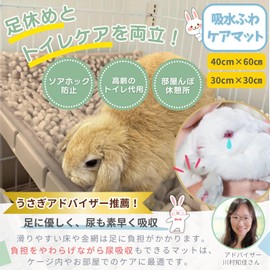 Mollemii Rabbit Mat, Toilet, Soa Hook, Machine Washable [Both Foot Rest & Toilet Care] (40*60 (Natural Beige))
