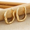 Irregular Hoop Earrings for Women U-shaped Smooth Geometric Earrings with