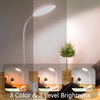 SUNLONG Dorm Room Essential Clip on Light Wall-Mounted, 3 Color