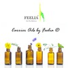 Feelia - Organic Moringa Oil - Cold Pressed, Moisturizing, Rich