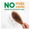 Shampoo De Romero Shampoo Anticaída De Sabila Y Jojoba