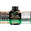 Mullein Lung Detox - Mullein Leaf 10:1 Extract - Marshmallow