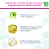 Calmosine Digestion Box of 12 Unidoses, Digestive Comfort for baby