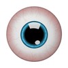 Eyeball Magnet Round Eye Magnet for Biologists Fridge for Attaching