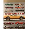 Corvette History 1953-1986 Winter SPECIAL!! Limited Time Offer!! Car Poster!