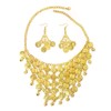 Honbay Belly Dance Indian Dance Necklace and Earrings