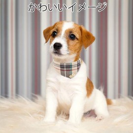 BINGPET Dog Collar Bandana Set, Checked Color, Puppy, No Burden, For Walks, Going Out, Easy To Fall Out, Cute, Stylish, With Handle, Double Lock, Mesh, Cats, Training, Walking, Small Dogs, Large Dogs,
