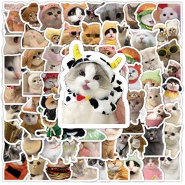 100 Fire Truck Stickers, Water Bottle, Laptop, Notebook Vinyl Stickers, Adults, Teens, Girls, Boys, Students Stickers (Fire Truck)