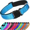 Collar Reflejante para Perro y Gato, Diseño Cómodo, Resistente. Ideal