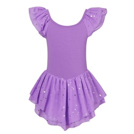 Idgreatim Girls Ballet Leotard Size 2-3 T Double-Layer Ballet Dance Dress Sleeve Solid Color Tutu Skirted Leotard Purple