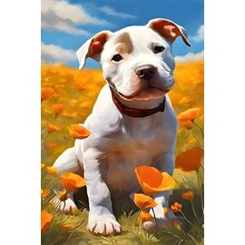 California Poppy Pitbull Puppy Notebook: Journal, paperback, 6x9 inches, 100 pages