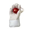 Gunn & Moore GM Cricket Wicket-Keeper Keeping Protective Gloves |