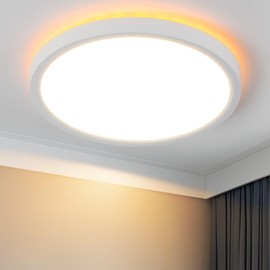Laittiin Ceiling Light LED Ceiling Light Flat Diameter 22 cm Round Bathroom Lamp Ceiling 18 W Ceiling Lighting Bedroom Bathroom Lamp 3000 K / 4000 K / 6500 K Kitchen Lamp for Bathroom/Balcony/Basement