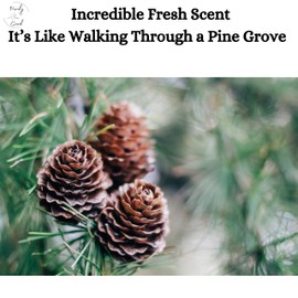 Perdy Good Lightfoot's Pine Soap for Men (Set of 4 Bars) All Natural Pine Scented Mens Athletic Soap for Body or Hands