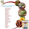 SwissMedicus Horse Balm Massage Gel with 25 Herbal Extracts (Beinwell,