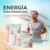 Primetech Nutrition Creatina Monohidratada Micronizada en Polvo 500 gr