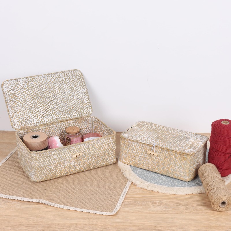 FEIALNDUO Wicker Shelf Baskets with Lid,Seagrass Storage Basket Bins Rectangular