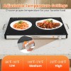 Electric Food Warmer with Adjustable Temperature Control and Overheat Protection