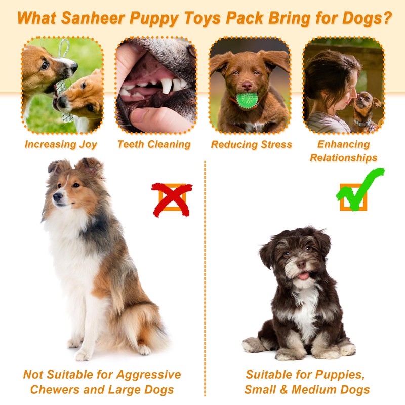 Ousiya Ousiya 24 Pack Puppy Toys Set with Storage Box