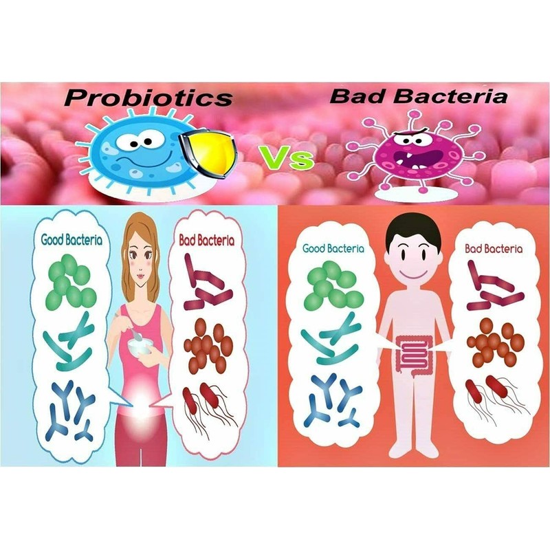 NOVA Probiotics Multi-Strain Ultra Strength Plus+ 100 Billion Probiotics per