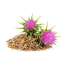Cardo Mariano 180 Cápsulas (2 Frascos de 90 Cápsulas Vegetales de 400 mg Cardo Mariano) | SuperVida Nutrition - Suplementos 100% Naturales
