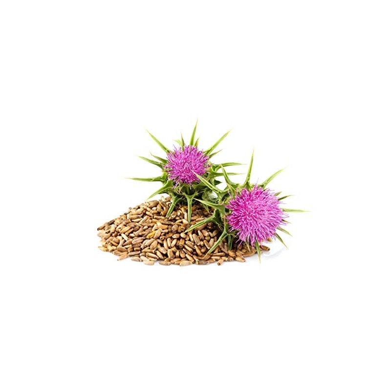 Cardo Mariano 180 Cápsulas (2 Frascos de 90 Cápsulas Vegetales