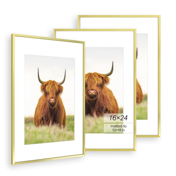 Home Golden State Art, 16x24 Picture Frame Set of 3,