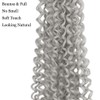 Curly Crochet Hair Extensions Gray Passion Twist Braids 24Inch Long