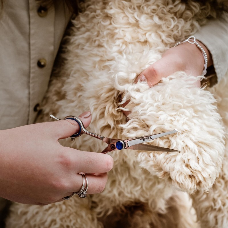 Mikki Doodle Dog Puppy Face and Paw Scissors Sharp and