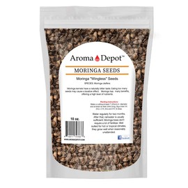 Moringa Seeds 10 oz. oleifera WINGLESS Clean, Sun-Dried, 100% Natural, Raw Superfood, Nutritional, Antioxidant. Rich in Vitamins Edible Seeds, (Approx. 5000) 5-PACK