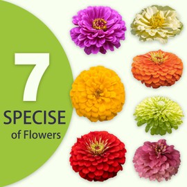 Zinnia Seeds Bulk 15,000+ | Outdoor Flower for Planting |Giant Zinnia Seeds for 2025 Bulk| Mixed Colors & Large Blooms for Gardens| High Germination, Beginner-Friendly