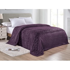 FAITH, HOPE, LOVE HOME DÉCOR Amrani Chevron Arrow Jacquard Microplush Queen Size Blanket 90" x 90" - Plum