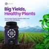 Grow Pro Series - Hydroponic Plant Nutrients and Fertilizer, Water