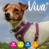 Ancol Viva Mesh Comfort Harness Purple Large ( To Fit