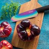 Hampton Forge HMC01A656D Rainbow Titanium – 12 Piece Cutlery Set