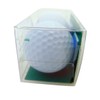 Westman Works Happy Fathers Day Set of 2 Golf Ball