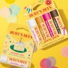Burt's Bees Bálsamo labial de pastel de cumpleaños, sin tinte,