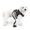 SMALLLEE_LUCKY_STORE No Pull Polka Dot Small Dog Puppy Cat Harness
