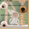 RUNANIA Crested Gecko Tank Accessories，Reptile Vines Plants with Coconut Shell
