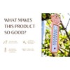 Terracotta Garden Thermometer with Sun Decor - Accurate Temperature Readings,