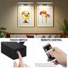RAIFOOLLY Picture Lights for Wall, Battery Painting Light with Remote