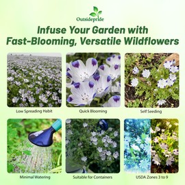 Outsidepride Nemophila Five Spot Annual Flower Seeds - 1000 Pcs Fast-Growing, Hardy & Self-Seeding Wildflower Seeds for Planting Vibrant Garden Flowers, Easy Blooms for Pollinator Gardens & Baskets