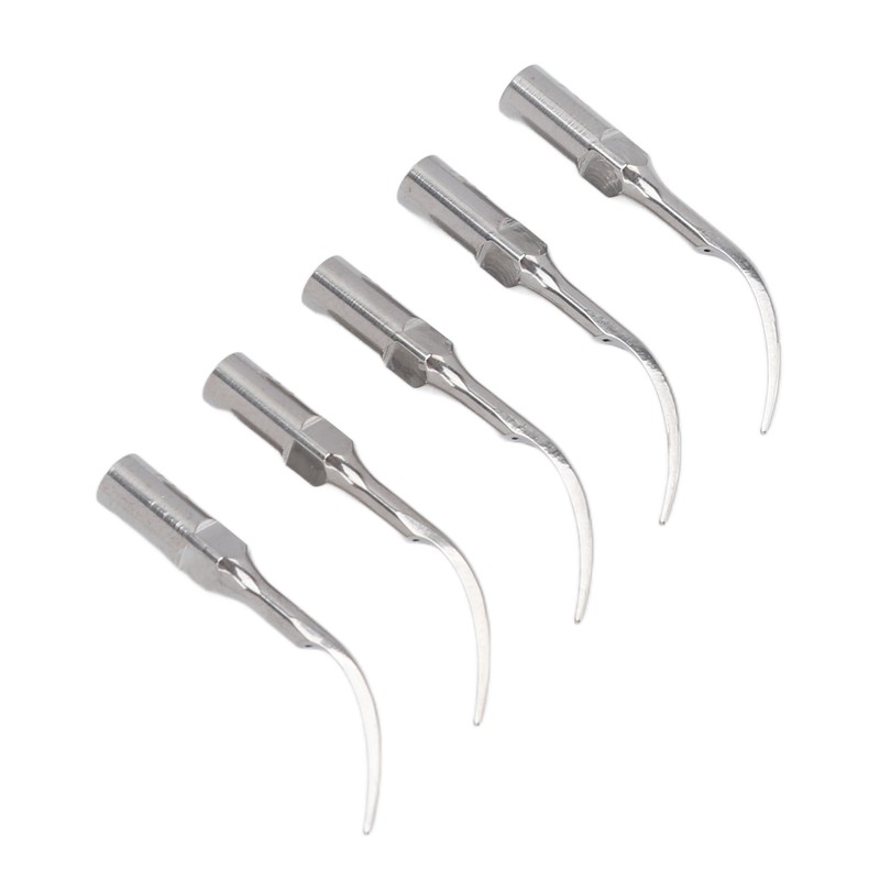 5pcs P1 Dental Clean Machine Tip Stainless Steel Heat Resistance