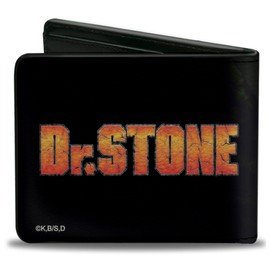 Dr. Stone Wallet, Bifold, Dr Stone Senku Ishigami Ray of Despair Hope Pose Logo Black, Vegan Leather
