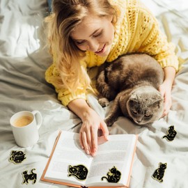 6 PCS Magnetic Cat Bookmarks, Book Markers for Kids, Bookmarks Bulk for Students, Teens, Book Lovers, Classroom Gifts, School Prize, Reading Present