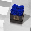 UFOREVER ROSES 4-Piece Preserved Roses in a Box, Preserved Flowers,