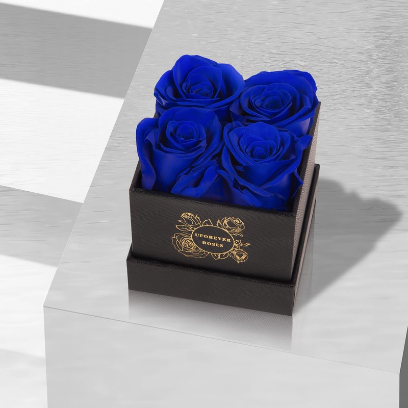 UFOREVER ROSES 4-Piece Preserved Roses in a Box, Preserved Flowers,