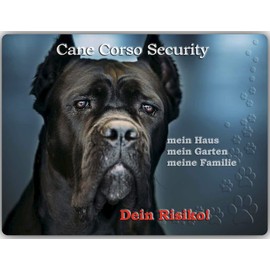 Merchandise for Fans Warning Sign Aluminium 20 x 30 cm Cane Corso Security (02)