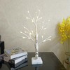 pete mici Tree Lamp, 2FT 24LT LAMP, Birch Tree-Warm White,